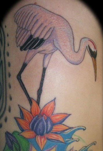 Bird Tattoos ~ All About 24