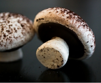 Sponsored #OXO Handmade Meringue Mushrooms Cindy's Recipes & Writings