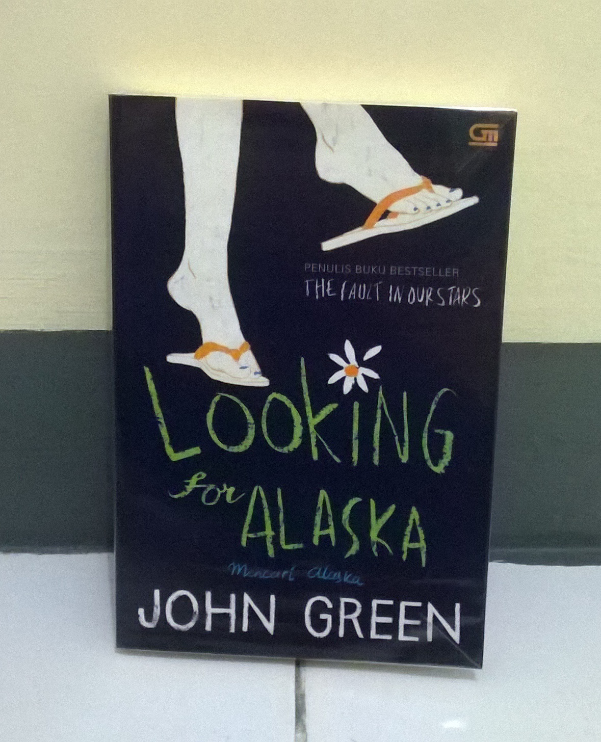 Resensi Buku Looking for Alaska