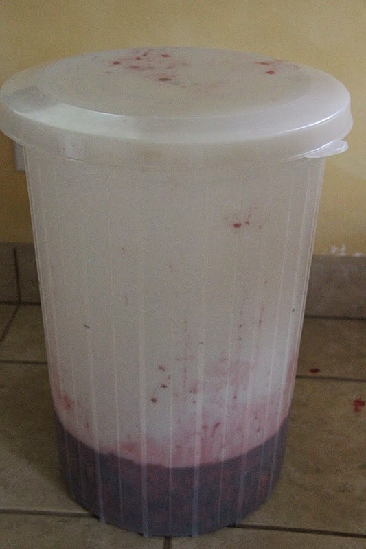 SISTERKINS Making Homemade Raspberry Wine