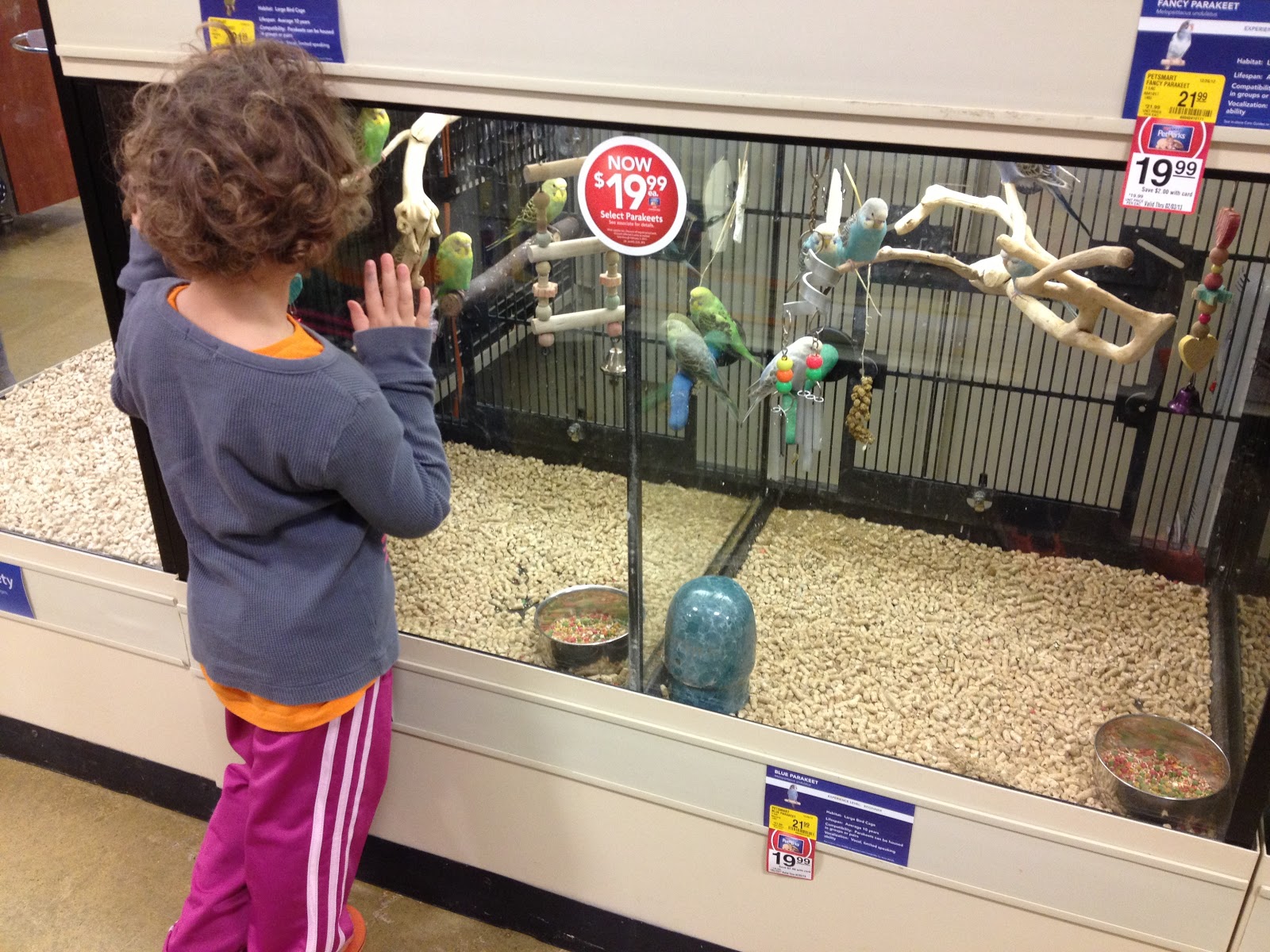 Play At Home Mom LLC Bird Watching