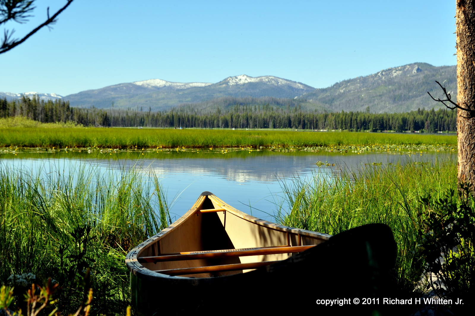 What Am I Doing? Back From Camping At Warm Lake, Idaho