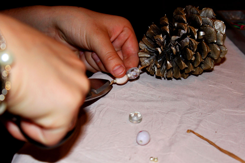 paisley interiors Pine Cone Pinspiration Project