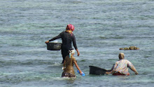 Pêche aux coques à Kuta