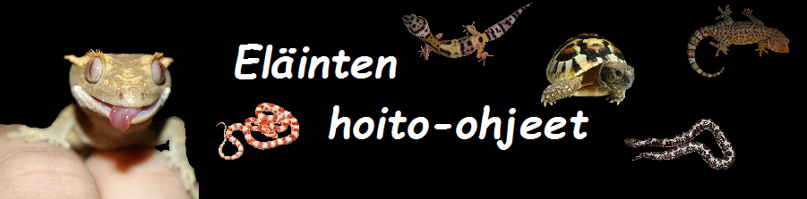 Hoito-ohjeet