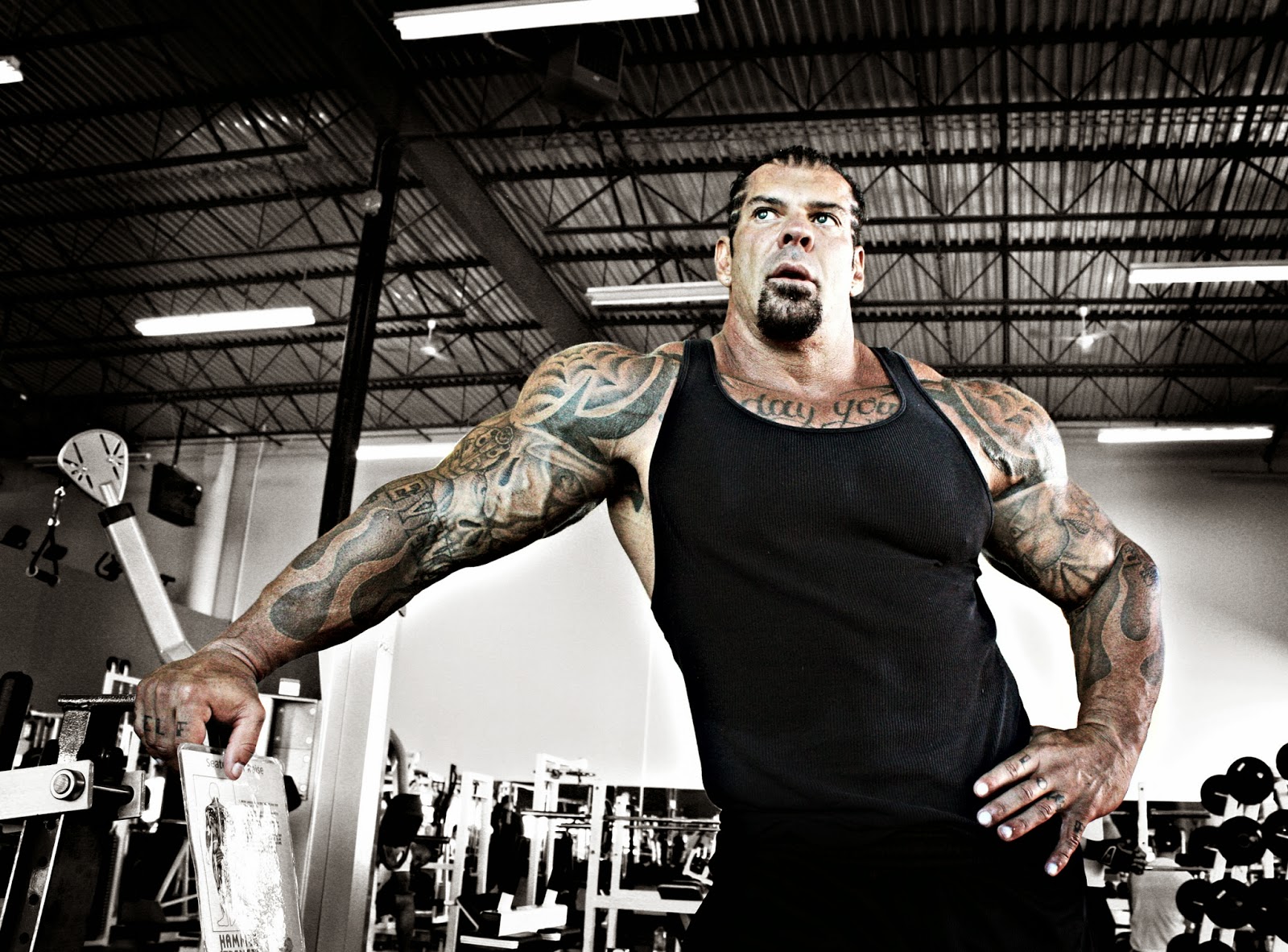 Mutant Rich Piana Wallpapers | Bodybuilding and Fitness Zone