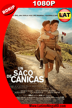 Un Saco de Canicas (2017) Latino HD BDRIP 1080P - 2017