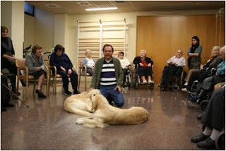 Sesión de Terapia Asistida con animales
