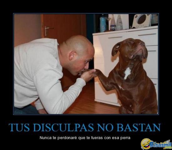 Resultado de imagen para DESMOTIVACIONES/CHISTES