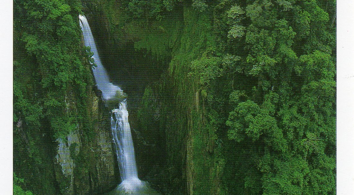 UNESCOgforpcrossing Thailand Dong PhayayenKhao Yai Forest Complex