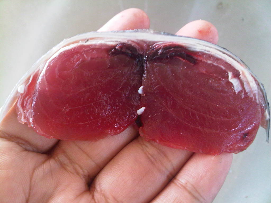 Agilex Tuna Export How We Grade Tuna