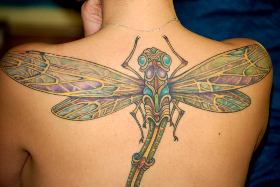 Traditional Japanese Dragonfly Tattoo - wide 9