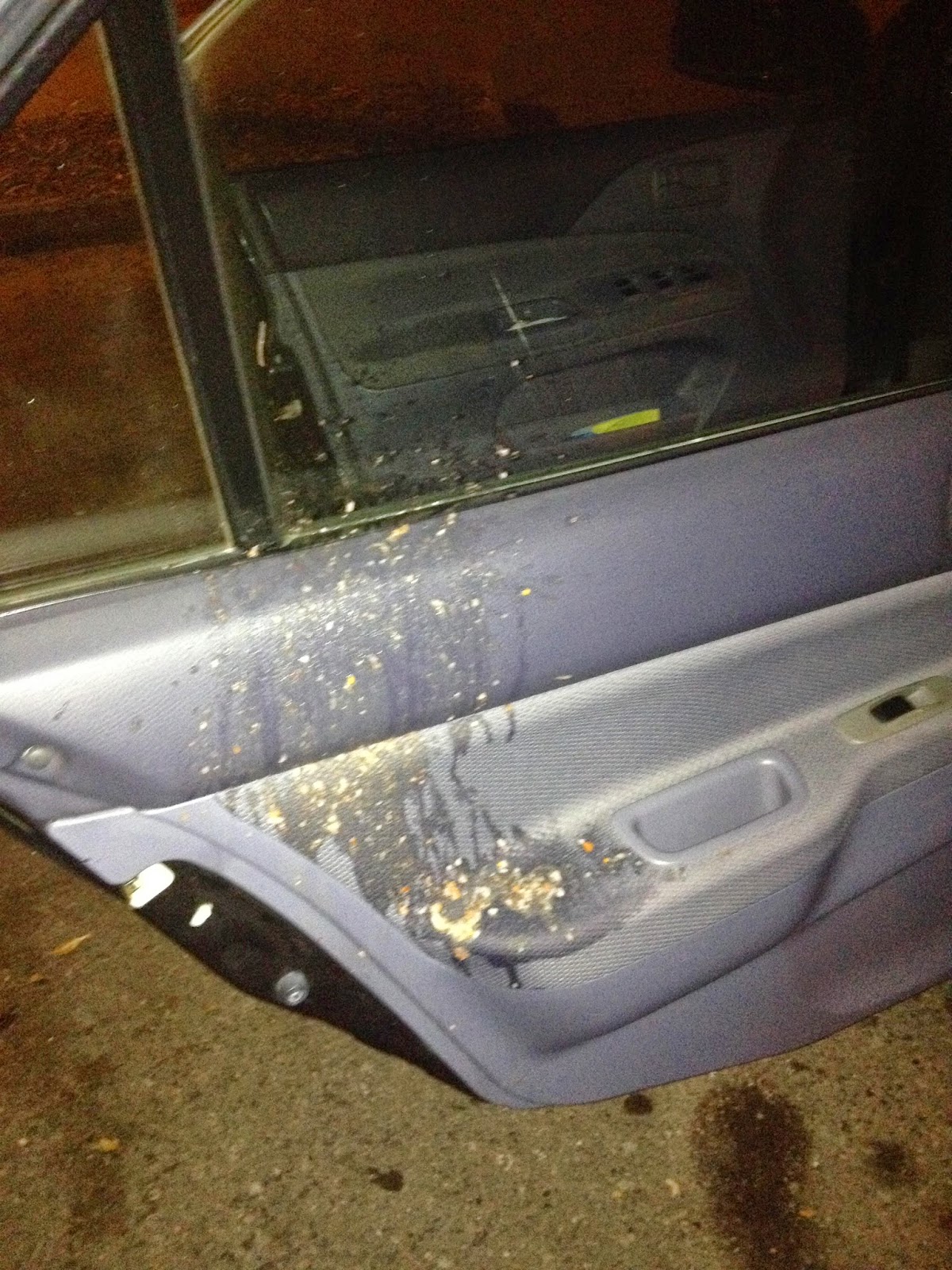 Uber Driver used old Lyft vomit images as his