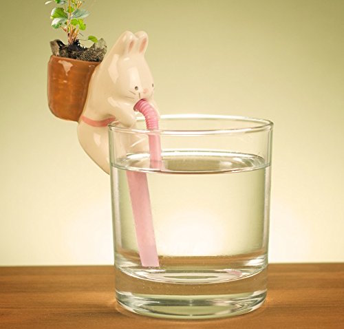 02-Rabbit-Chuppon-Self-Watering-Animal-Planter-www-designstack-co