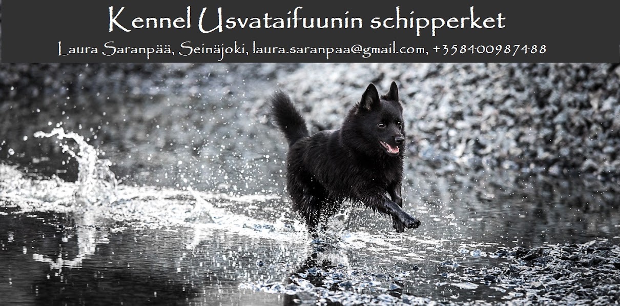 Kennel Usvataifuunin