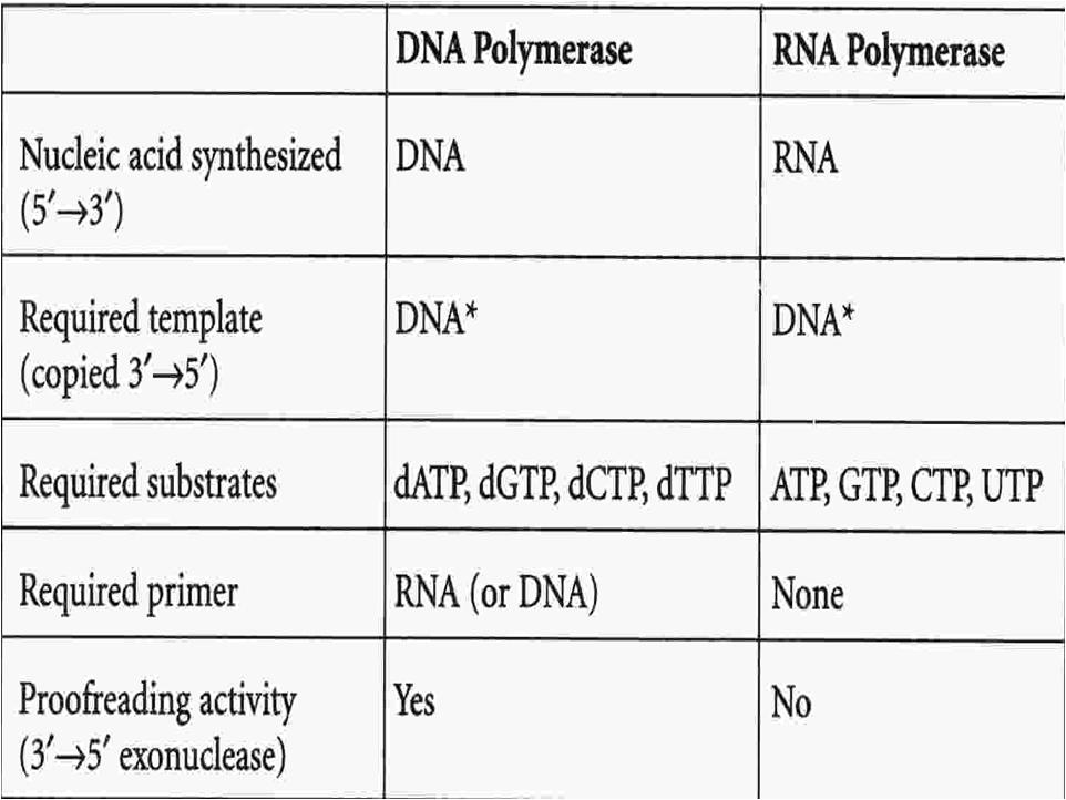 MBBS Medicine (Humanity First) DNA REPLICATION AND REPAIR