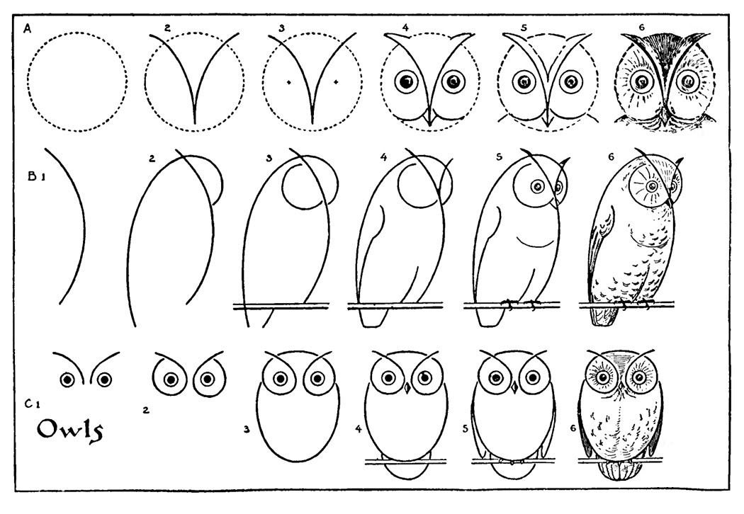 Vintage Owl Drawings