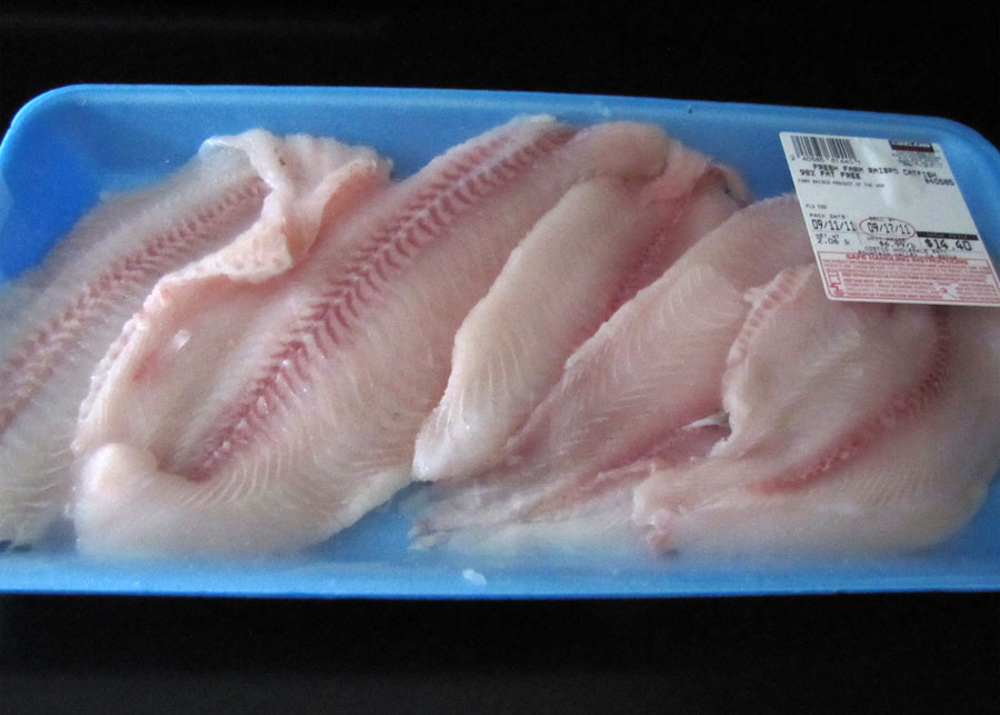 Smells Like Food in Here Fresh Farm Raised Catfish