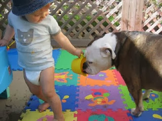 jokes for kids jokes for kids
