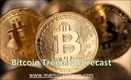 Bitcoin Trend & Forecast