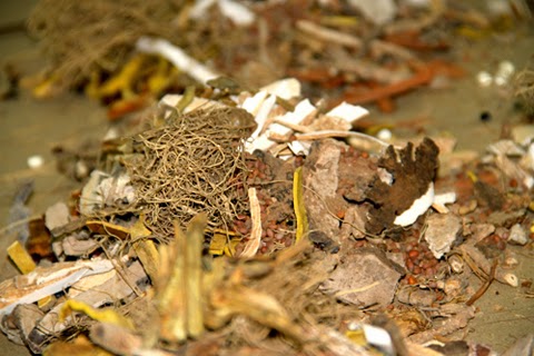 [Image: thuoc-nam-dieu-tri-vay-nen.jpg]