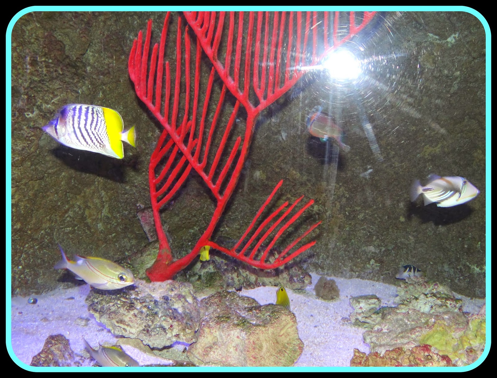 Pattie's Place The Living Aquarium Trip in Sandy, Utah