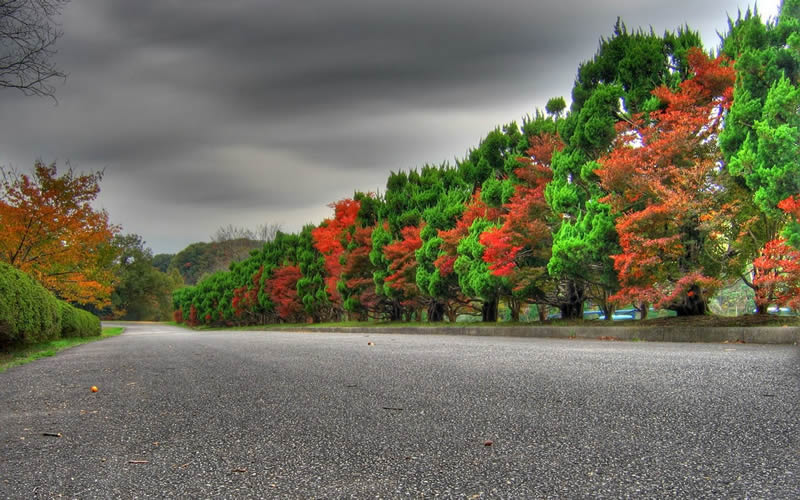 الطبيعة الساحرة Autumne+roadside