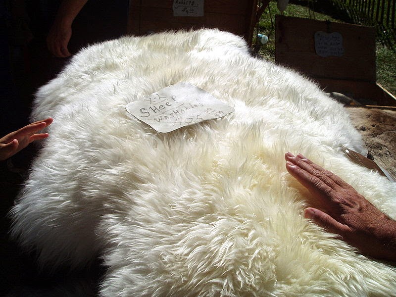 http://commons.wikimedia.org/wiki/File:Sheep_skin_for_sale.jpg