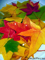 Atrapar_los_colores_del_otoño_en_un_marco-