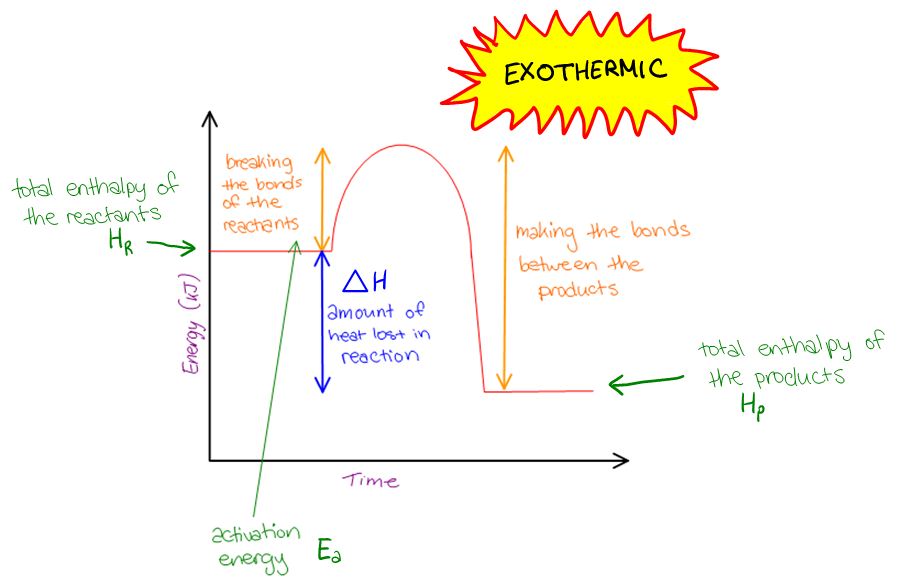 orders of reaction graphs. Graphs of Endothermic and