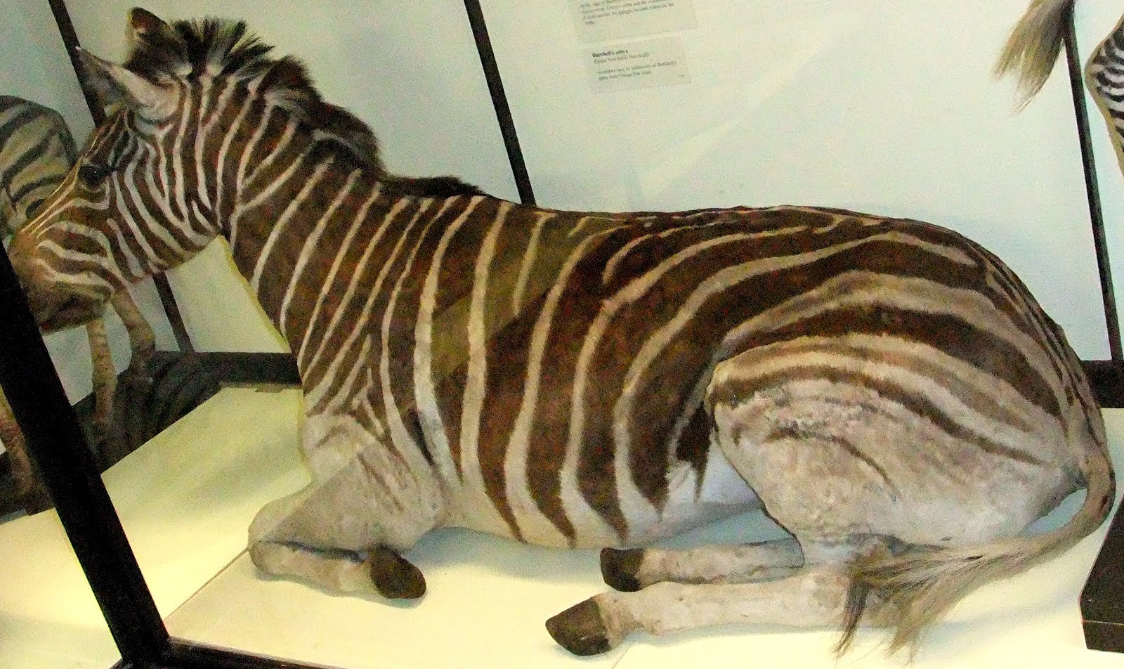 ShukerNature April 2012