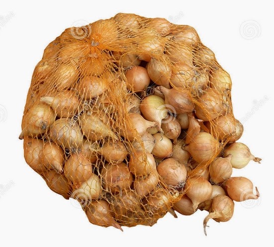 Multiplier onions recipes for salmon Multiplier onions recipes for salmon