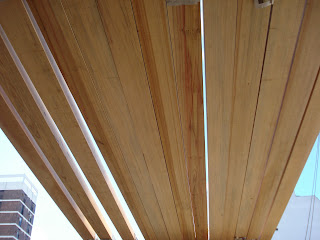 Martin Sanchez: Techo de pino brasil