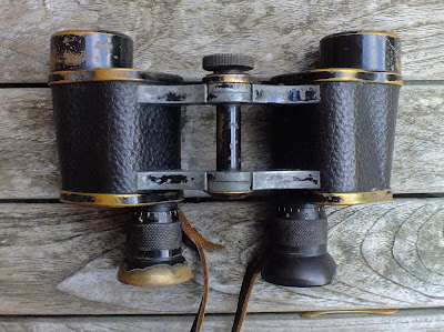 nikon eagle view binoculars