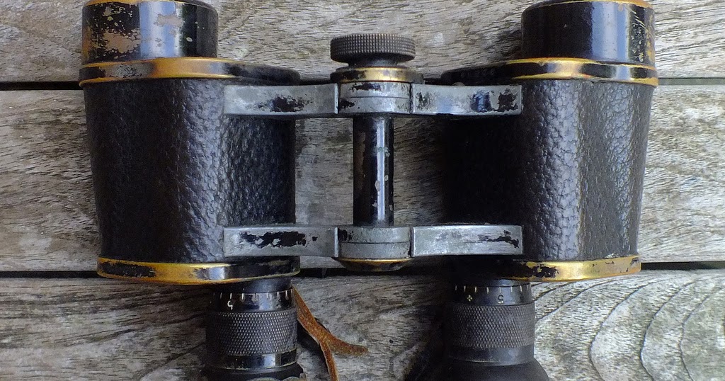 Nikon Binoculars Types of Binoculars