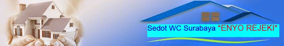 SEDOT WC SURABAYA | 085850206055