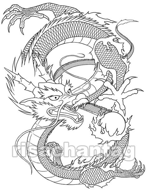 TATTOO DESIGN IDEAS Dragon tattoo picture