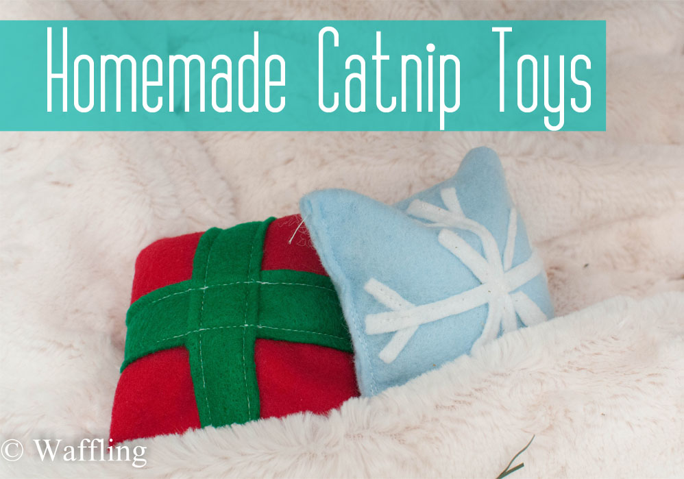 Waffling Homemade Catnip Toys
