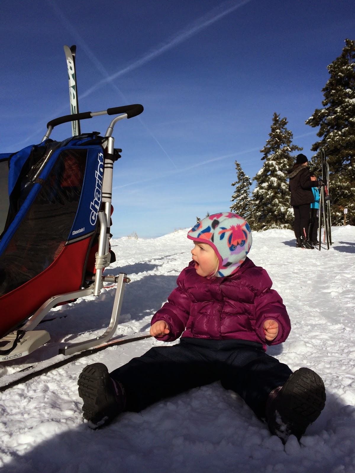 Tiny Bird in Boise CrossCountry Skiing at Bogus Basin