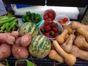 A bumper harvest!