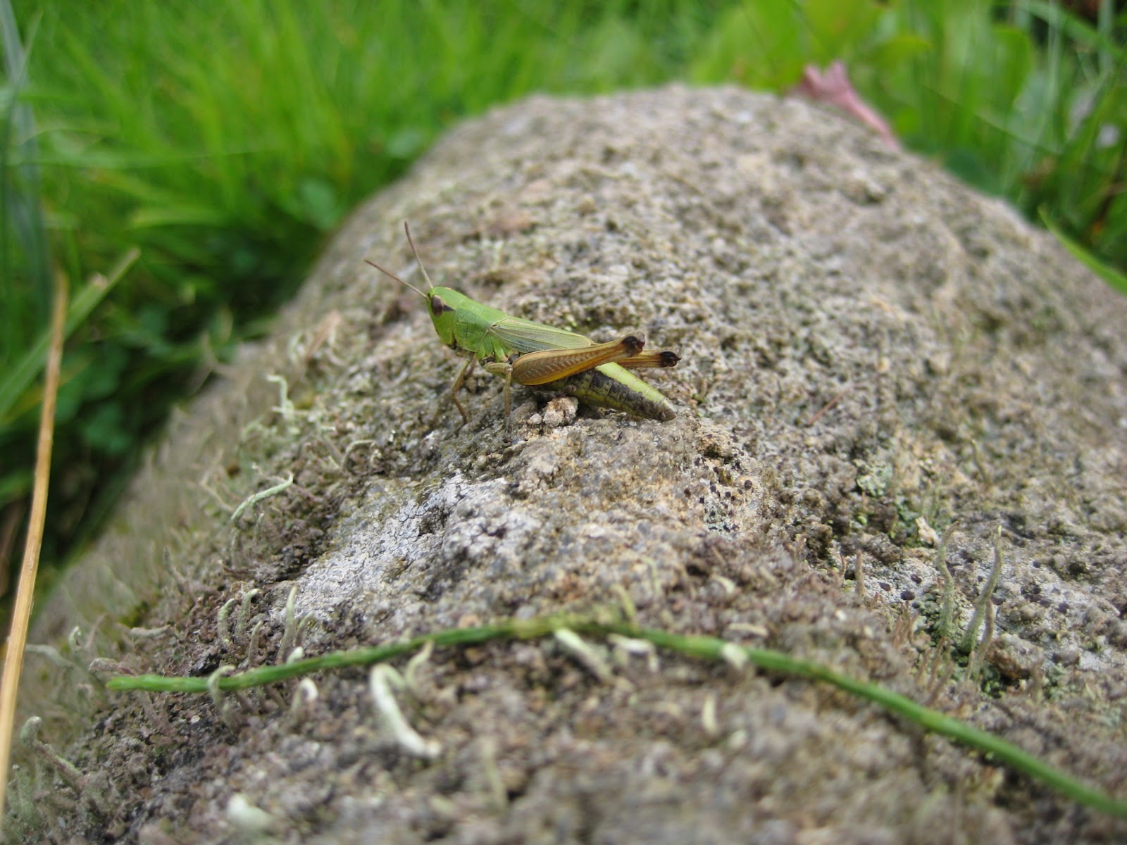 Kammermusikkammer Page 8 Chan 6301162 Rssing Com