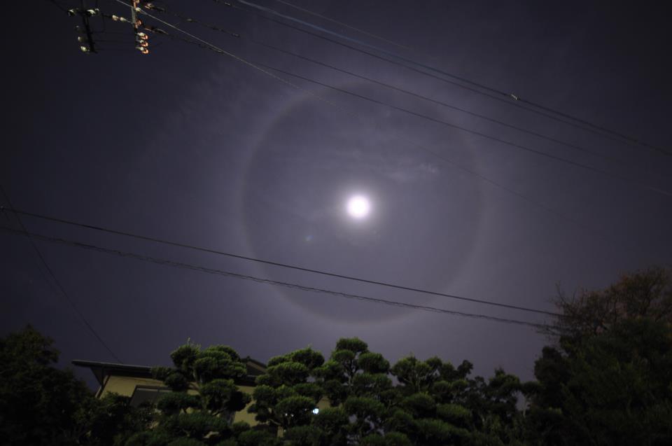 Beautiful Moon Quotes