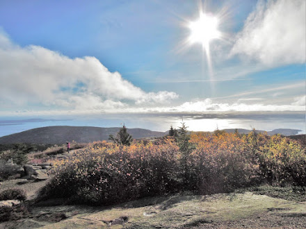 The View from Cadillac Mountain