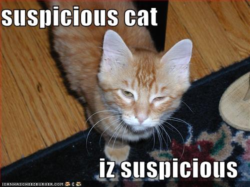 [Bild: 091114-suspicious-cat.jpg]