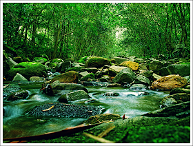 Ekosistem sungai merupakan salah satu contoh ekosistem