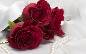 Red rose HD wallpaper on valentines day 2016