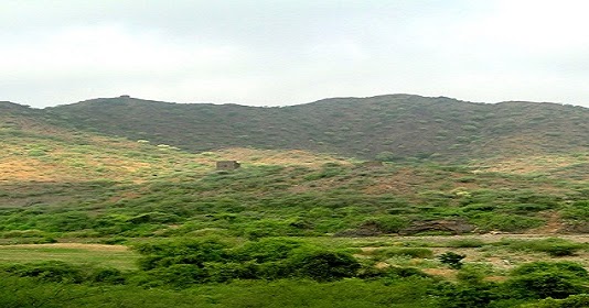 بلغازي عن كثب تعر ف على بلغازي