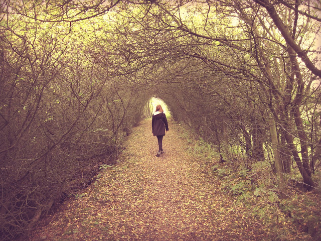 A Tunnel of Trees