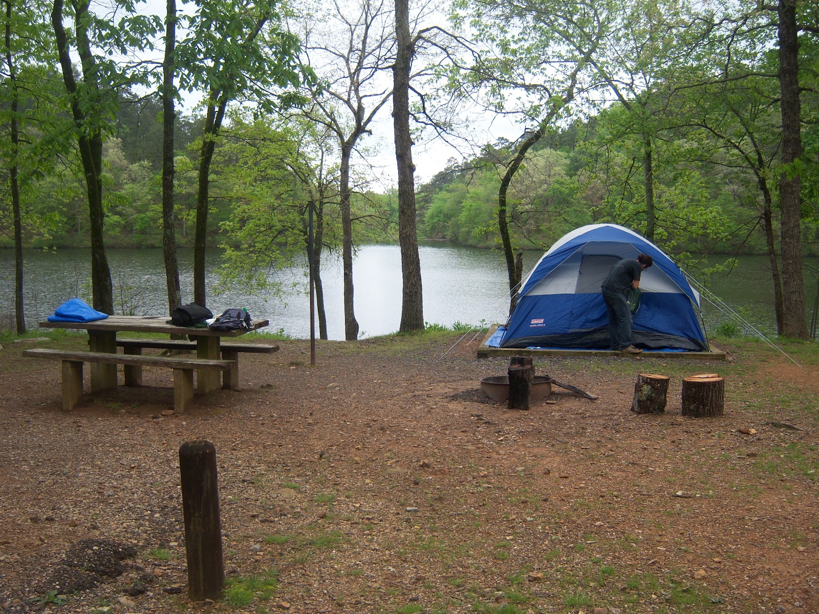 Chicagoland Greenery Shady Lake in Ouachita National Forest, Arkansas