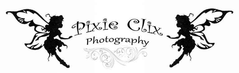 Pixie Clix